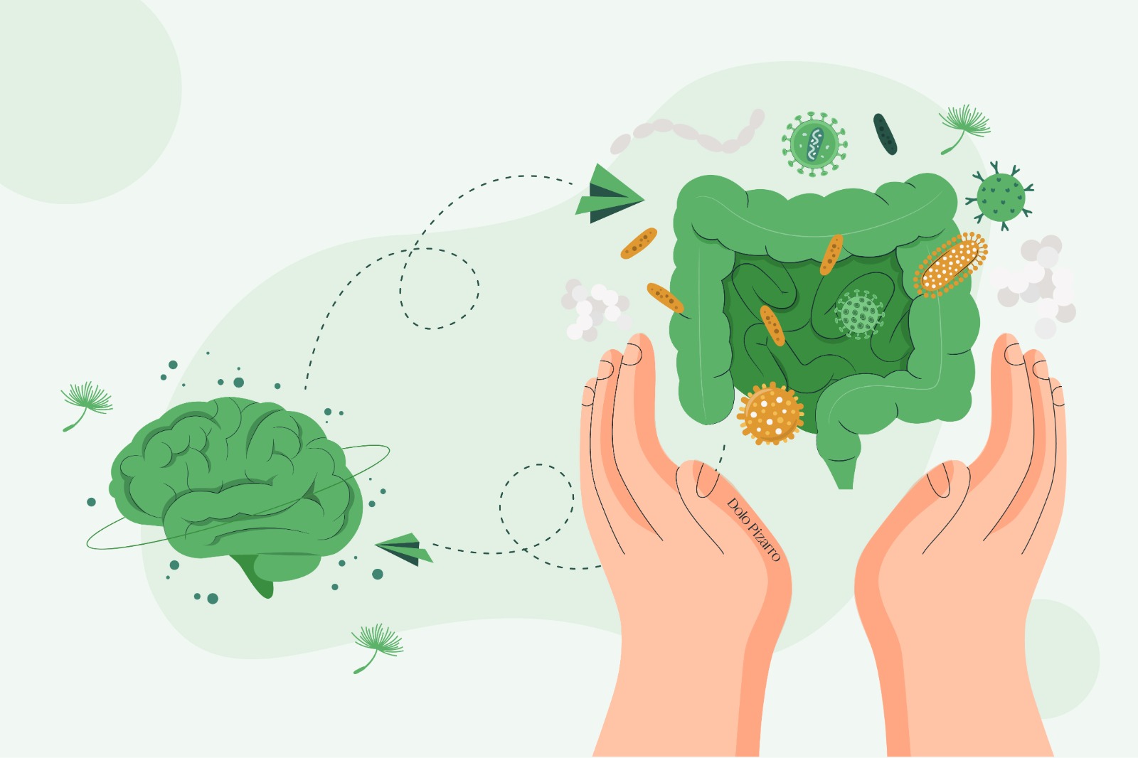 La Microbiota Intestinal Nuestro Segundo Cerebro Dolo Pizarro